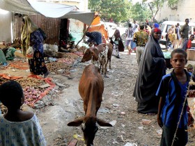 Un mercado popular de Mogadiscio_3_web